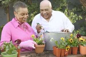 senior_couple_gardening