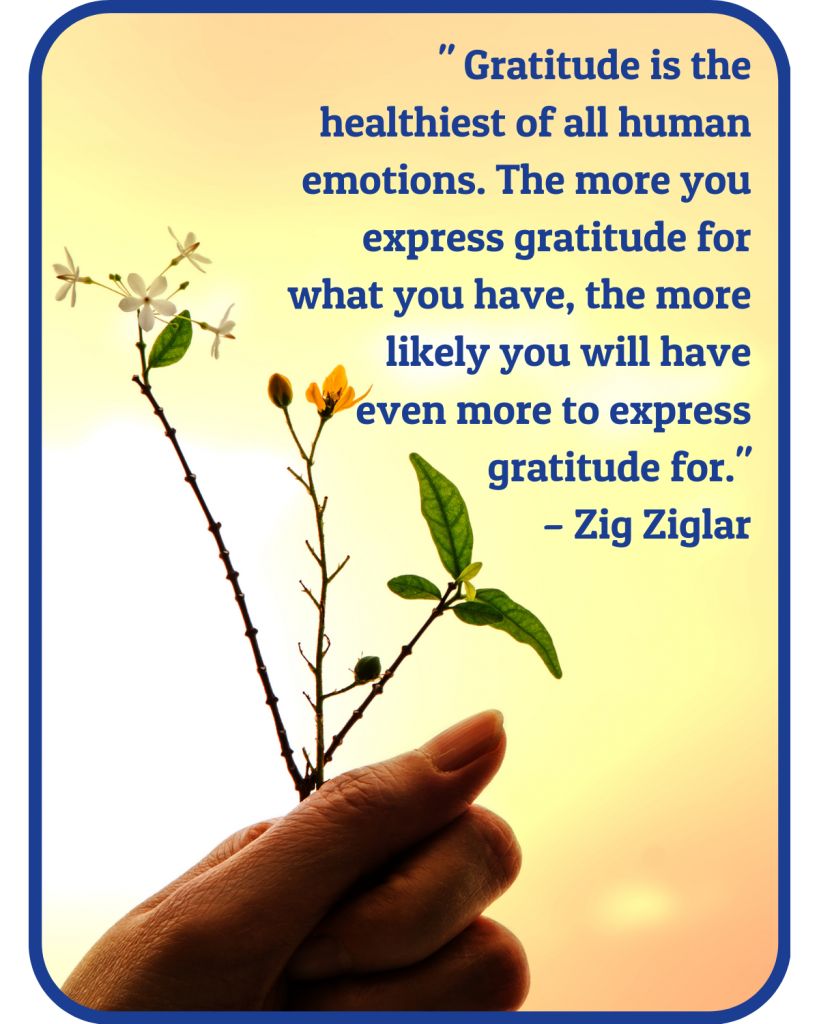 image: hand holds smal flowers against a yellow sky. Image text: " Gratitude is the healthiest of all human emotions. The more you express gratitude for what you have, the more likely you will have even more to express gratitude for." – Zig Ziglar